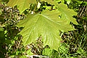 DSCN1262