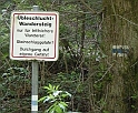DSCN1268