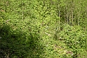 DSCN1272