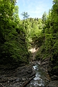 DSCN1290