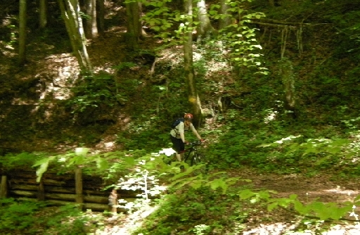 DSCN1477.JPG
