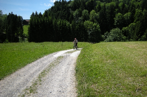 DSCN1482.JPG