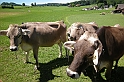 DSCN1492