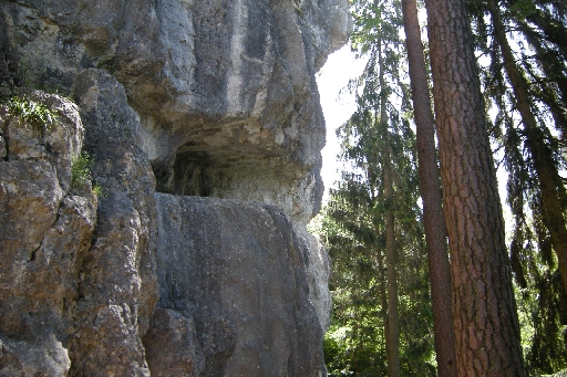DSCN1583.JPG