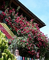 DSCN1613
