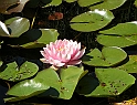 DSCN1643q