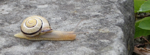 DSCN1649.JPG