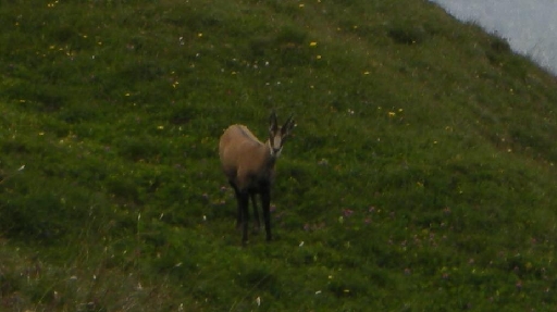 DSCN2107.JPG