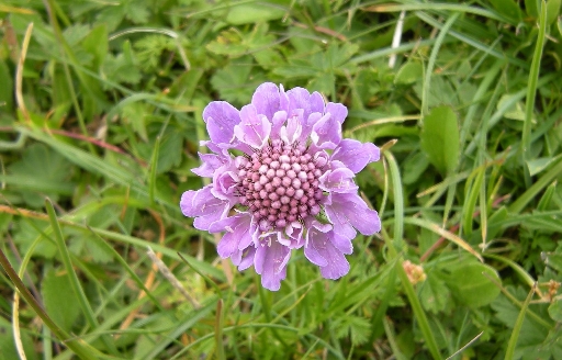 DSCN2114.JPG