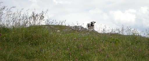 DSCN2128.JPG