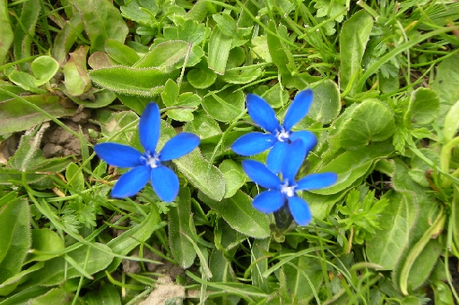 DSCN2134.JPG