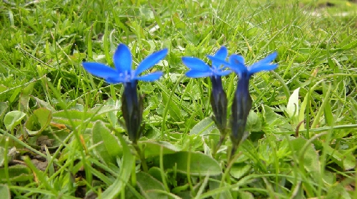 DSCN2137.JPG