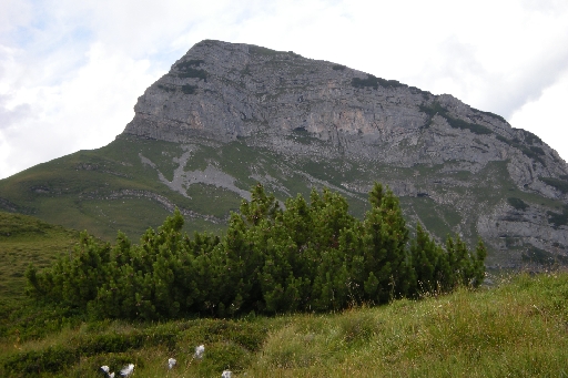 DSCN2145.JPG