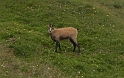 DSCN2105