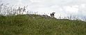 DSCN2128