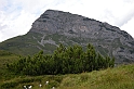 DSCN2145