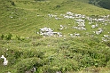 DSCN2147