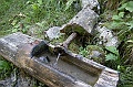 DSCN2723