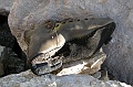 DSCN2758