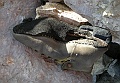 DSCN2759
