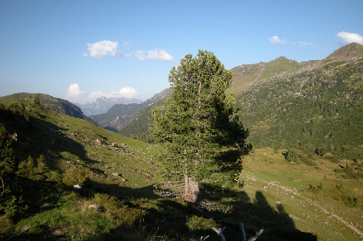 DSCN2846.JPG