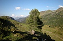DSCN2846