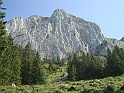 7310_Filderchoepf