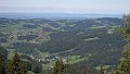 DSCN2919