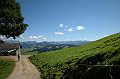 DSCN2920