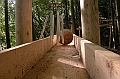 DSCN2978