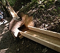 DSCN2985