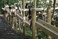 DSCN2990