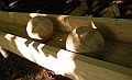 DSCN2993