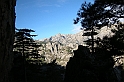 DSCN3444