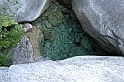 DSCN3494