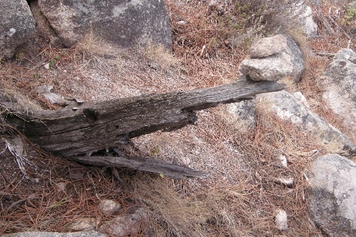 DSCN3539.JPG