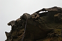DSCN3528