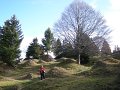 DSCN3641