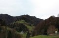 IMG_6290