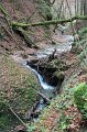 IMG_6293