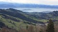IMG_6305