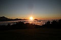 DSCN3665