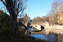 IMG_6505