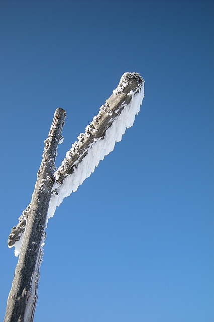 DSCN3731.JPG