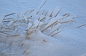 DSCN3724