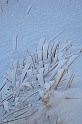 DSCN3725