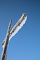 DSCN3731