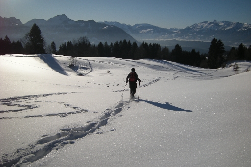 DSCN3737.JPG