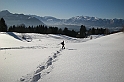 DSCN3733