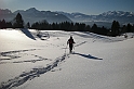 DSCN3737